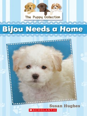cover image of Bijou Needs a Home